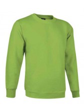 sweat col rond LILLE vert pomme