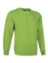 sweat col rond LILLE vert pomme